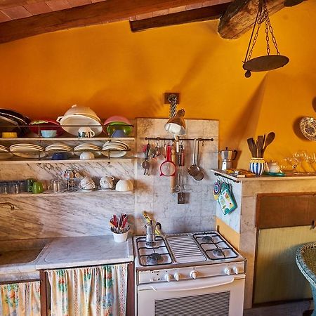 Trebiano Sotto Il Castello Bed & Breakfast エクステリア 写真