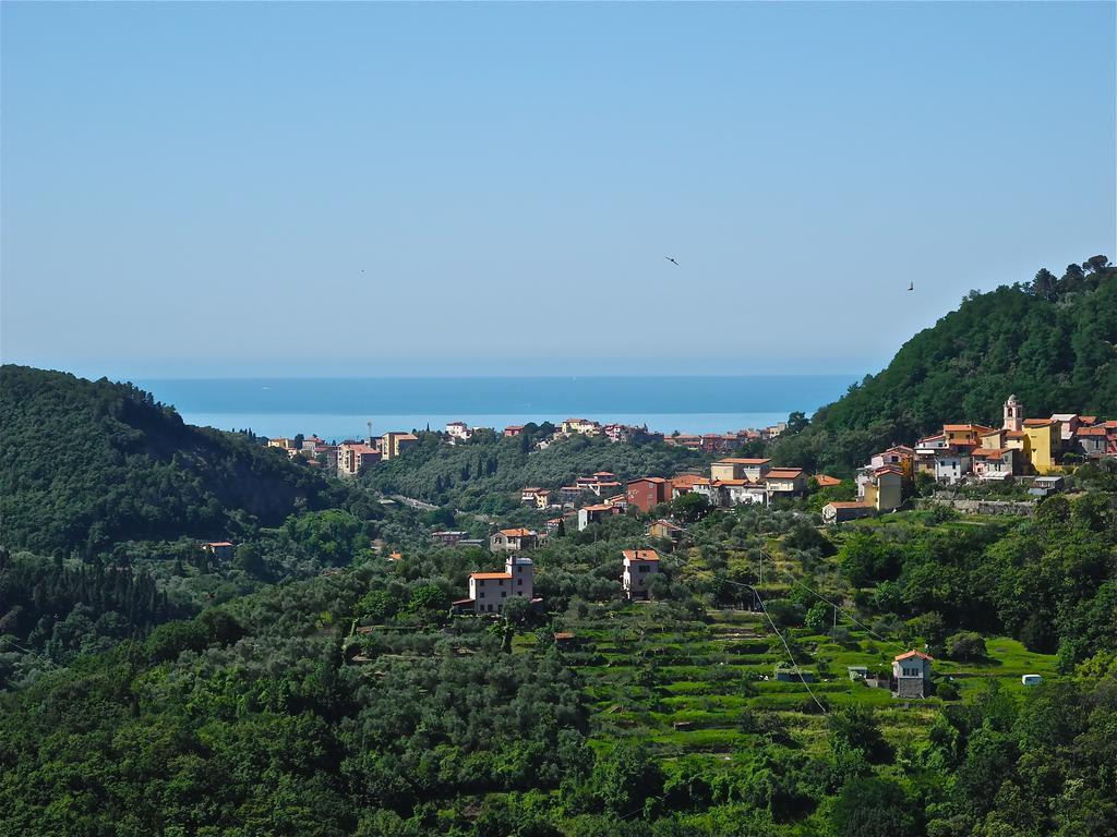 Trebiano Sotto Il Castello Bed & Breakfast エクステリア 写真